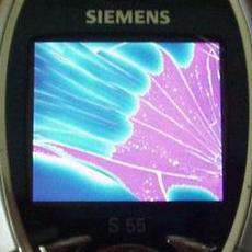 Siemens S55